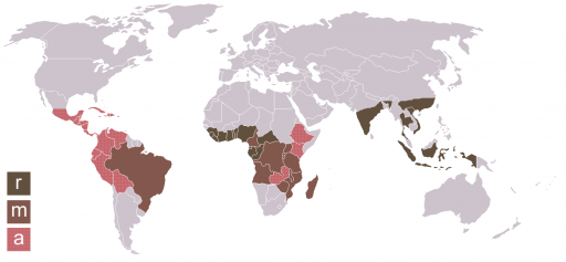 Tipos de café y la distribución geográfica de los diferentes cultivos